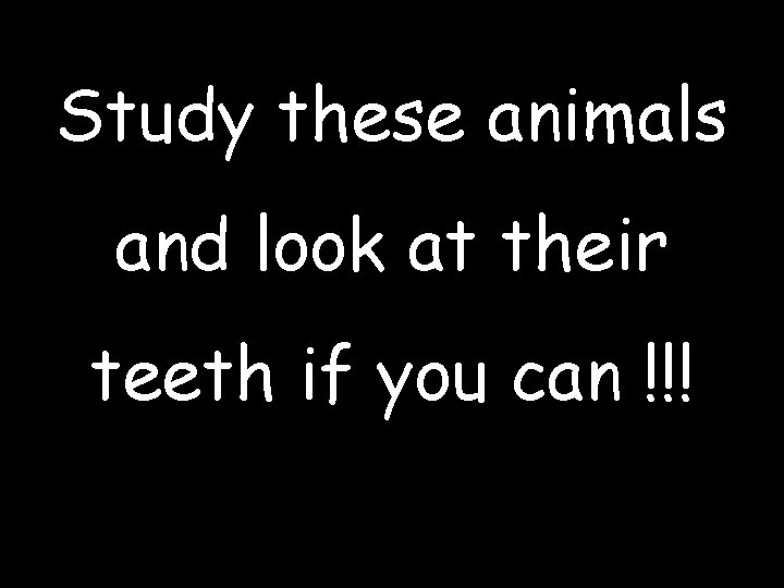 Study these animals and look at their teeth if you can !!! 