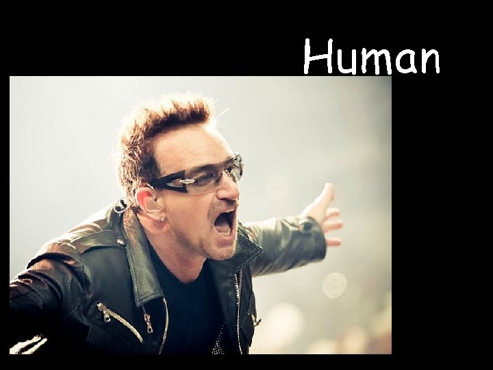 Human 