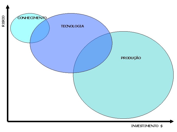 RISCO CONHECIMENTO TECNOLOGIA PRODUÇÃO INVESTIMENTO $ 