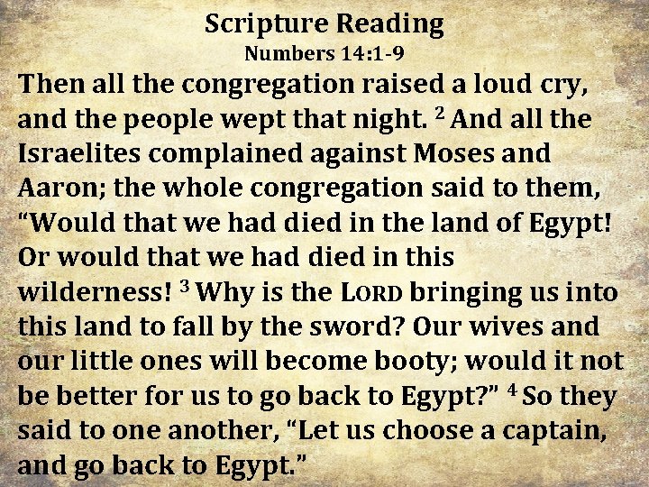 Scripture Reading Numbers 14: 1 -9 Then all the congregation raised a loud cry,