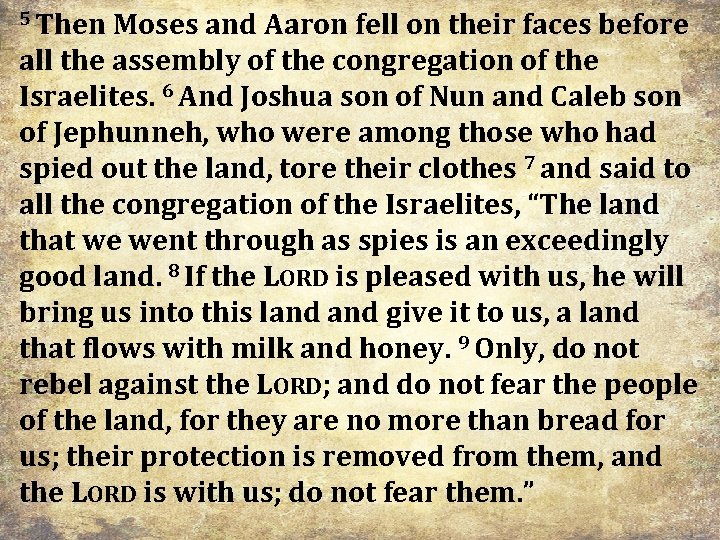 5 Then Moses and Aaron fell on their faces before all the assembly of