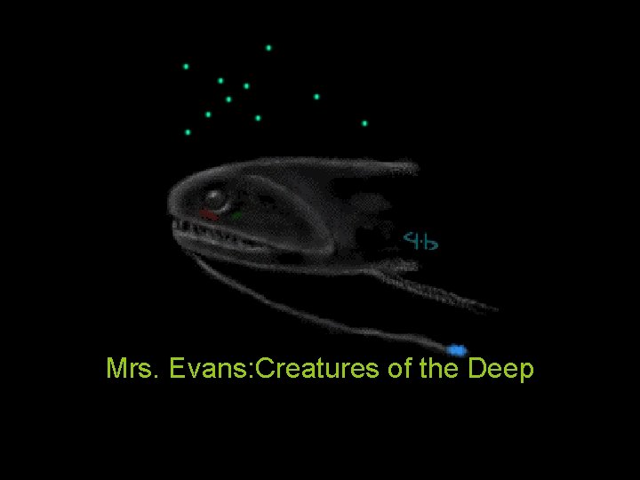  Mrs. Evans: Creatures of the Deep 