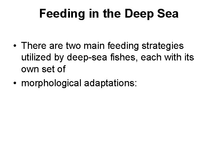 Feeding in the Deep Sea • There are two main feeding strategies utilized by
