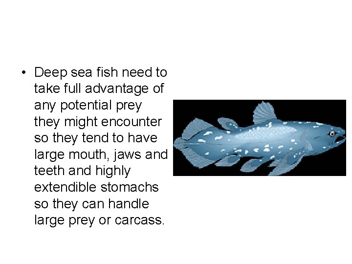  • Deep sea fish need to take full advantage of any potential prey