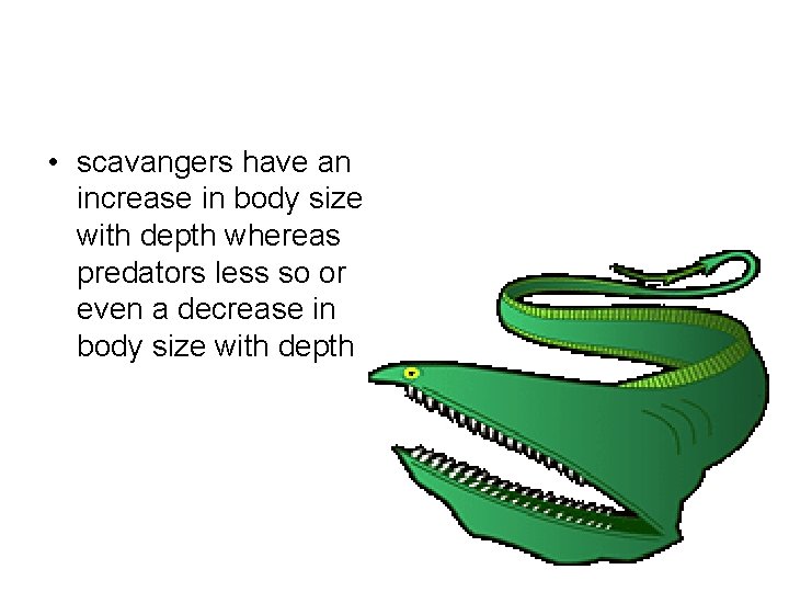  • scavangers have an increase in body size with depth whereas predators less