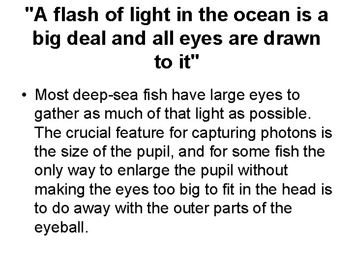 "A flash of light in the ocean is a big deal and all eyes