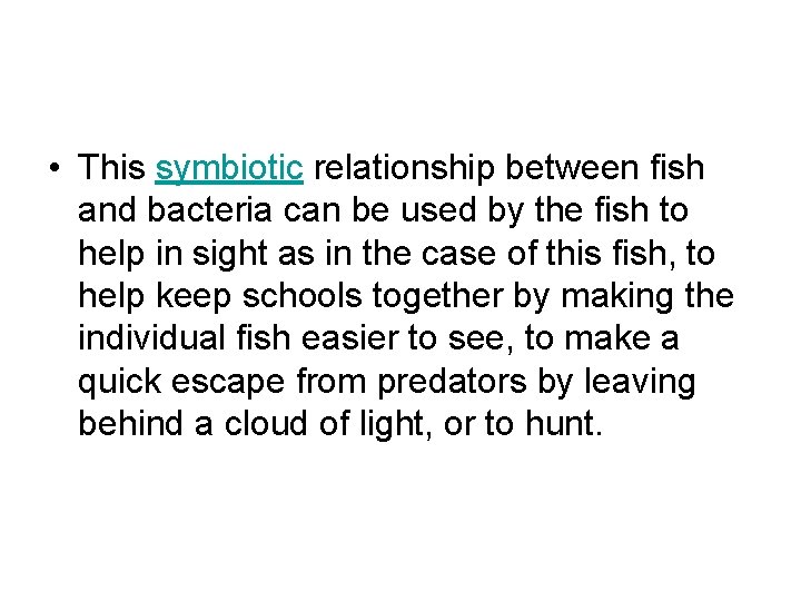  • This symbiotic relationship between fish and bacteria can be used by the