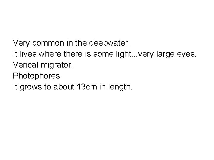 Very common in the deepwater. It lives where there is some light. . .