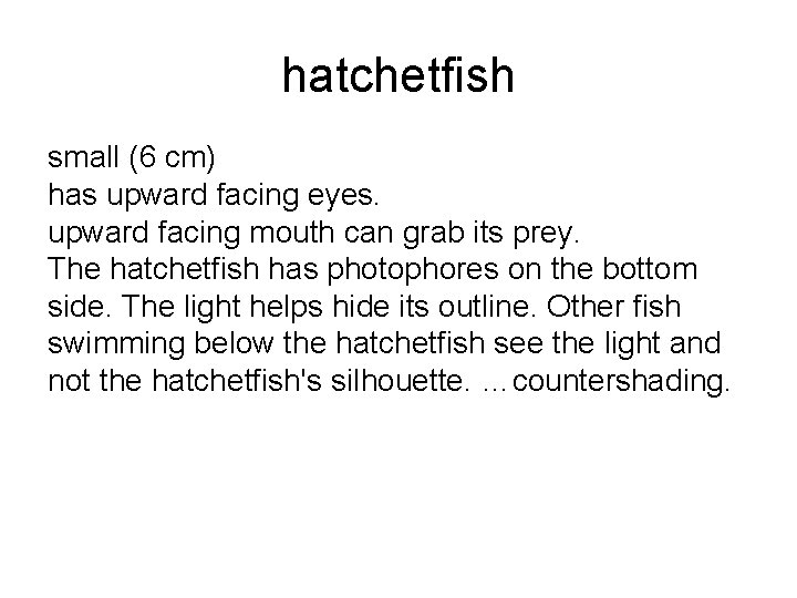 hatchetfish small (6 cm) has upward facing eyes. upward facing mouth can grab its