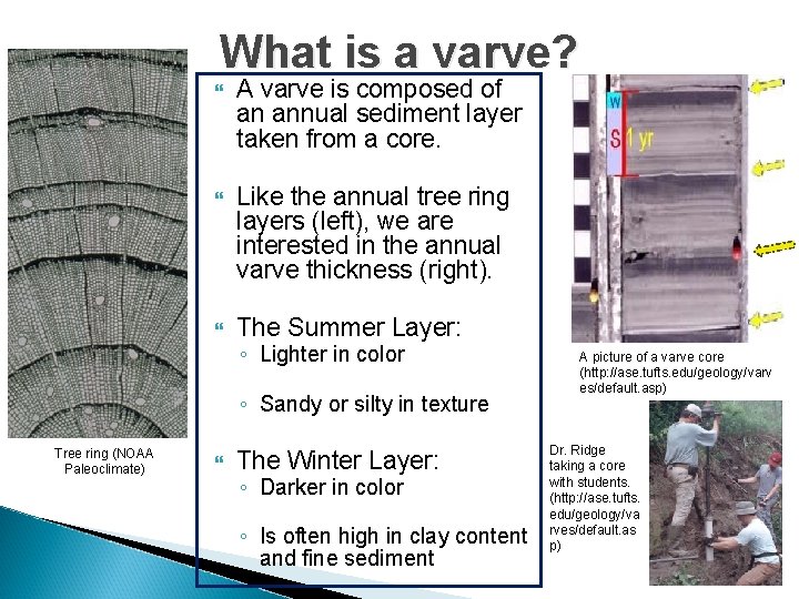 What is a varve? A varve is composed of an annual sediment layer taken