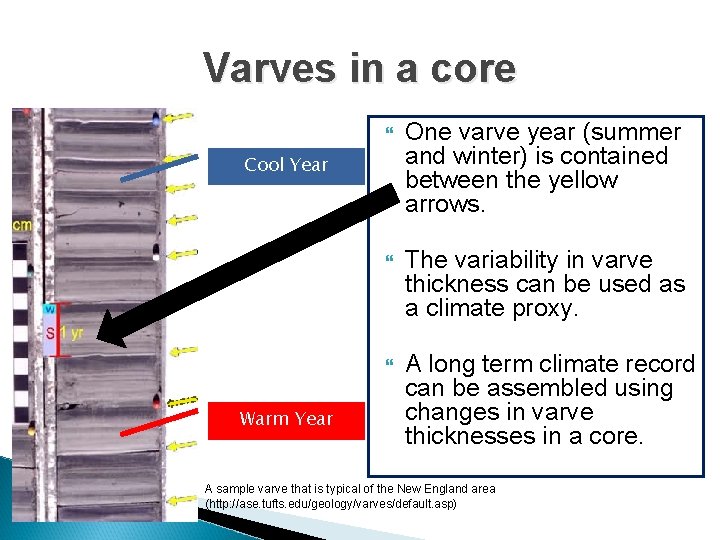 Varves in a core One varve year (summer and winter) is contained between the