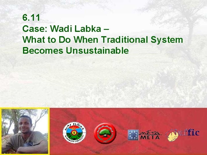 6. 11 Case: Wadi Labka – What to Do When Traditional System Becomes Unsustainable