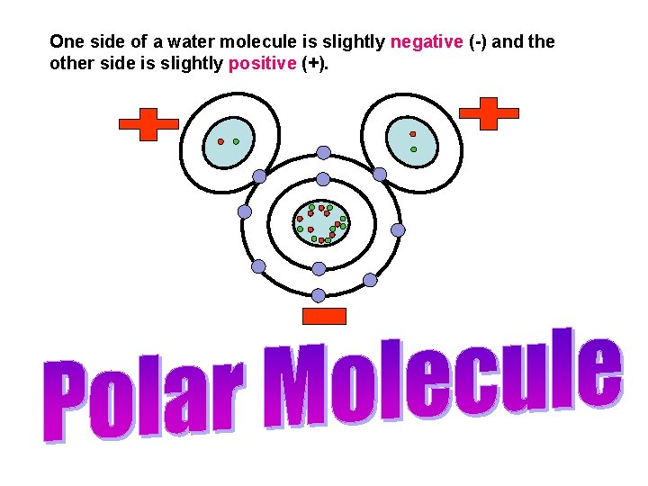 One side of a water molecule is slightly negative (-) and the other side One side of a water molecule is slightly negative (-) and the other side