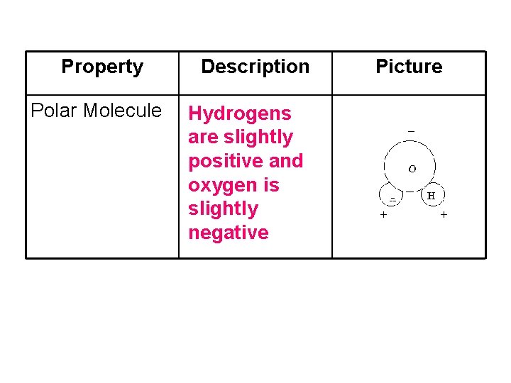 Property Polar Molecule Description Hydrogens are slightly positive and oxygen is slightly negative Picture Property Polar Molecule Description Hydrogens are slightly positive and oxygen is slightly negative Picture