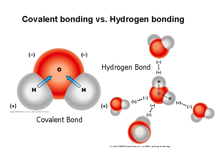 Covalent bonding vs. Hydrogen bonding Hydrogen Bond Covalent Bond Covalent bonding vs. Hydrogen bonding Hydrogen Bond Covalent Bond