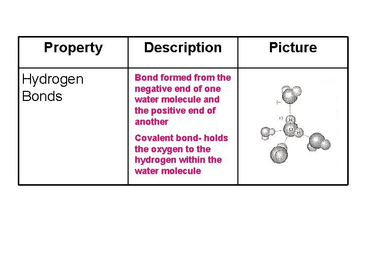 Property Hydrogen Bonds Description Bond formed from the negative end of one water molecule Property Hydrogen Bonds Description Bond formed from the negative end of one water molecule