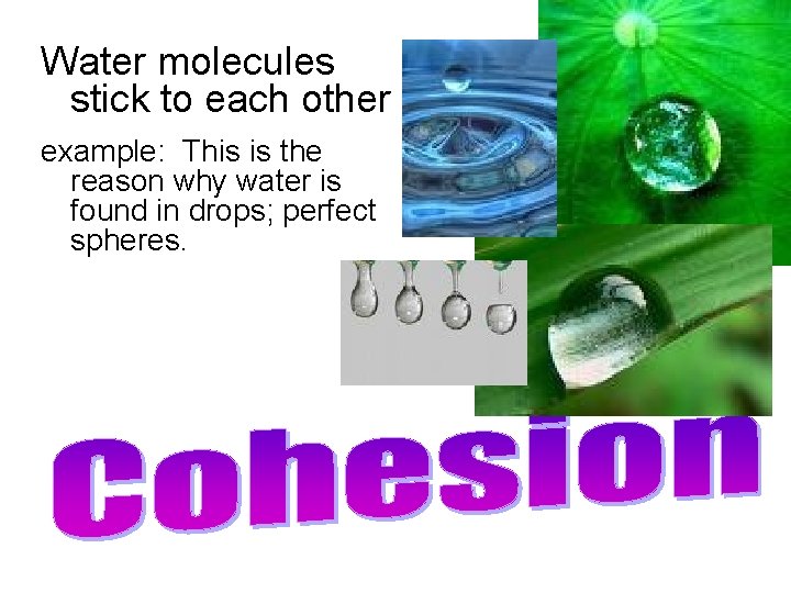 Water molecules stick to each other example: This is the reason why water is Water molecules stick to each other example: This is the reason why water is