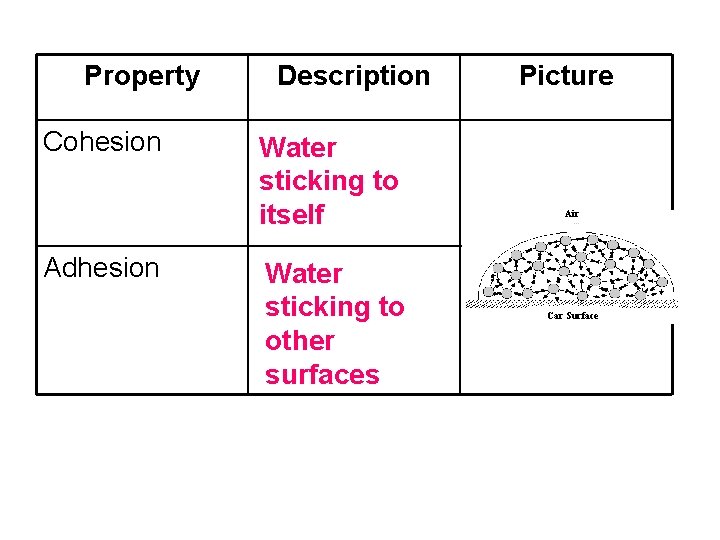 Property Cohesion Adhesion Description Water sticking to itself Water sticking to other surfaces Picture Property Cohesion Adhesion Description Water sticking to itself Water sticking to other surfaces Picture