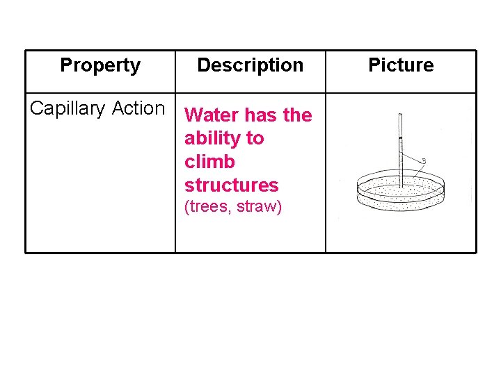 Property Description Capillary Action Water has the ability to climb structures (trees, straw) Picture Property Description Capillary Action Water has the ability to climb structures (trees, straw) Picture