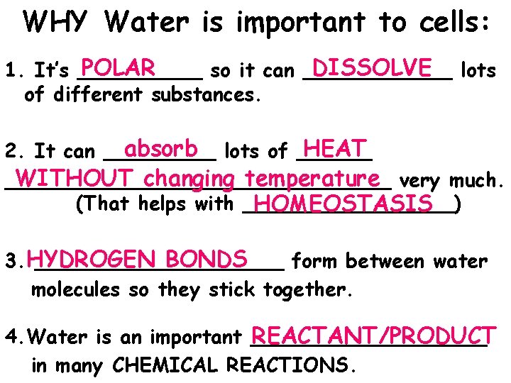 WHY Water is important to cells: POLAR DISSOLVE lots 1. It’s _____ so it WHY Water is important to cells: POLAR DISSOLVE lots 1. It’s _____ so it