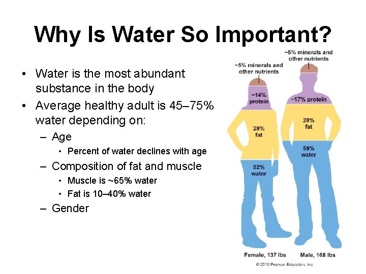 Why Is Water So Important? • Water is the most abundant substance in the Why Is Water So Important? • Water is the most abundant substance in the