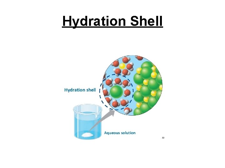 Hydration Shell Hydration Shell