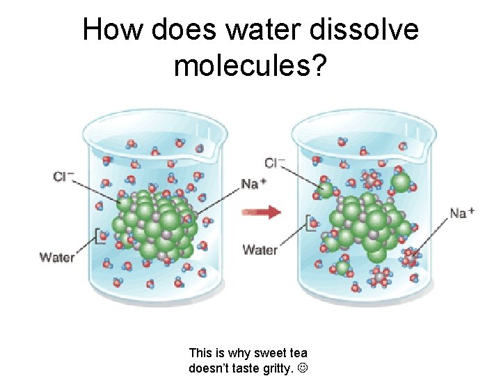 How does water dissolve molecules? This is why sweet tea doesn’t taste gritty. How does water dissolve molecules? This is why sweet tea doesn’t taste gritty.