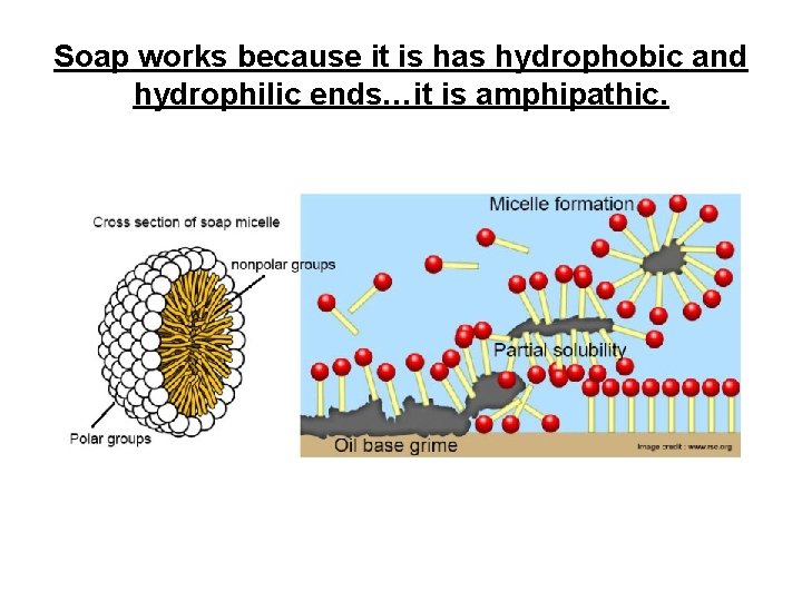 Soap works because it is has hydrophobic and hydrophilic ends…it is amphipathic. Soap works because it is has hydrophobic and hydrophilic ends…it is amphipathic.