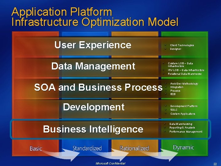 Application Platform Infrastructure Optimization Model User Experience Data Management SOA and Business Process Development