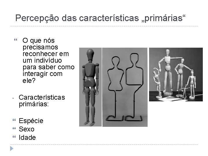 Percepção das características „primárias“ O que nós precisamos reconhecer em um indivíduo para saber