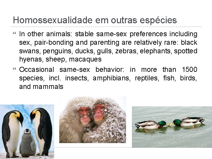 Homossexualidade em outras espécies In other animals: stable same-sex preferences including sex, pair-bonding and