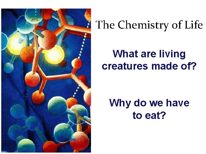 The Chemistry of Life What are living creatures made of? Why do we have