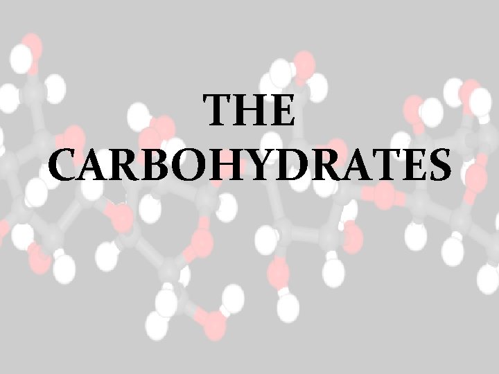 THE CARBOHYDRATES 