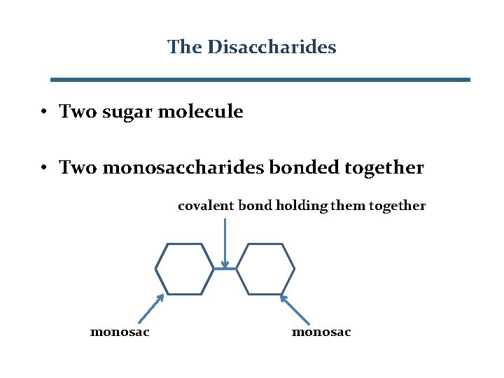 The Disaccharides • Two sugar molecule • Two monosaccharides bonded together covalent bond holding