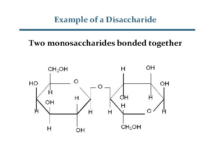 Example of a Disaccharide Two monosaccharides bonded together 