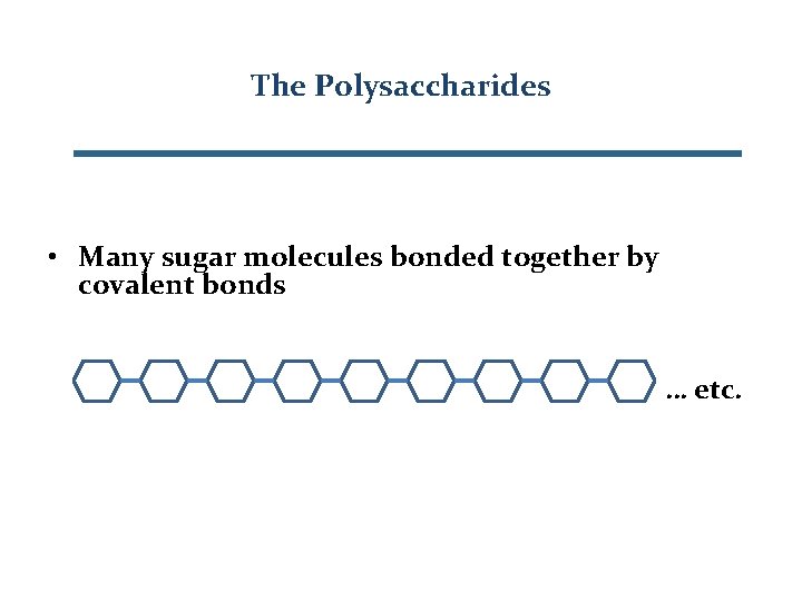 The Polysaccharides • Many sugar molecules bonded together by covalent bonds … etc. 