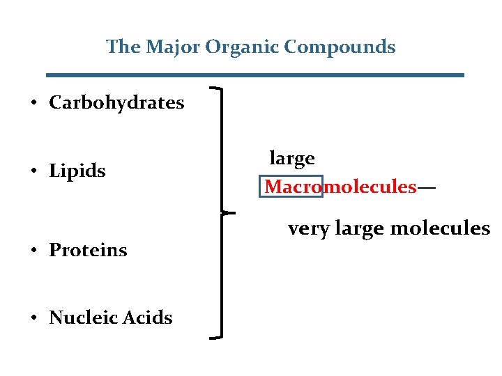 The Major Organic Compounds • Carbohydrates • Lipids • Proteins • Nucleic Acids large