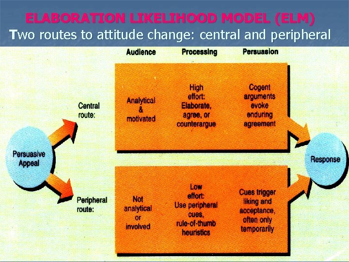 ELABORATION LIKELIHOOD MODEL (ELM) Two routes to attitude change: central and peripheral 