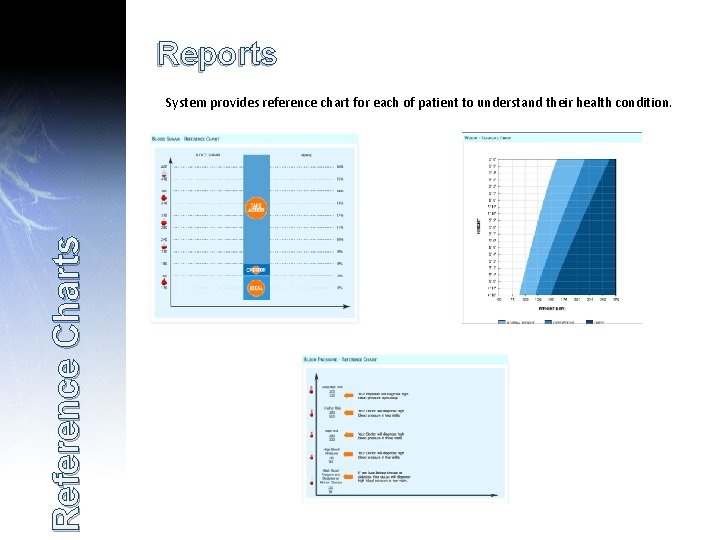 Reports Reference Charts System provides reference chart for each of patient to understand their