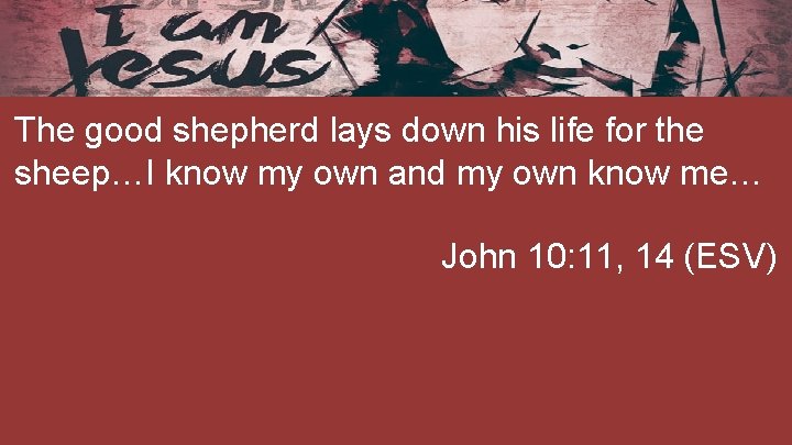 The good shepherd lays down his life for the sheep…I know my own and