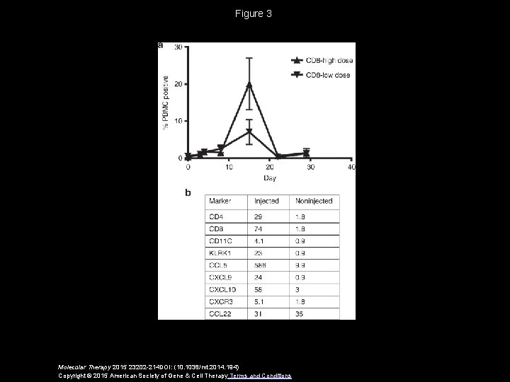 Figure 3 Molecular Therapy 2015 23202 -214 DOI: (10. 1038/mt. 2014. 194) Copyright ©