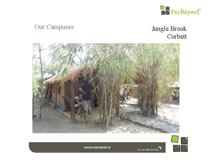 Our Campuses Jungle Brook Corbett 