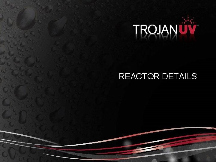 REACTOR DETAILS 