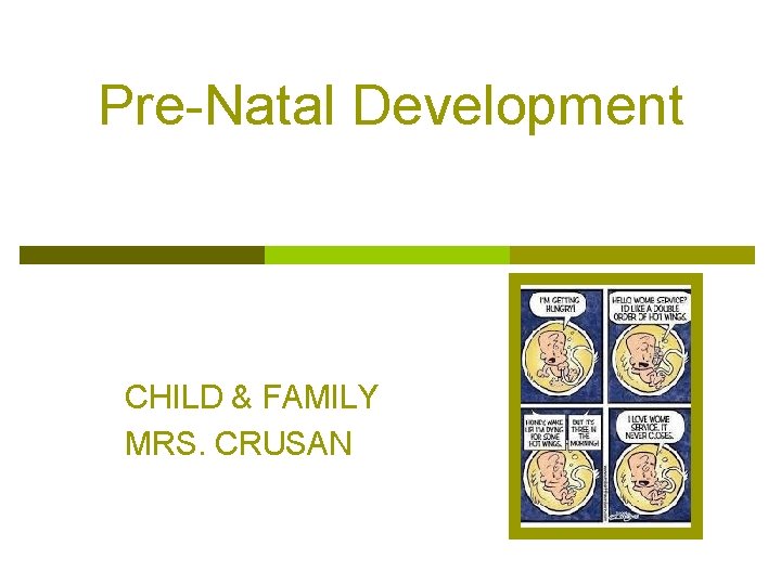 Pre-Natal Development CHILD & FAMILY MRS. CRUSAN 