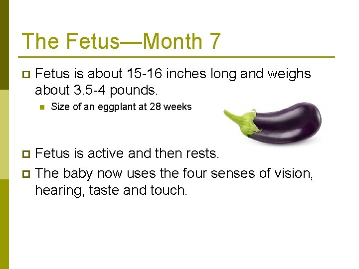 The Fetus—Month 7 p Fetus is about 15 -16 inches long and weighs about