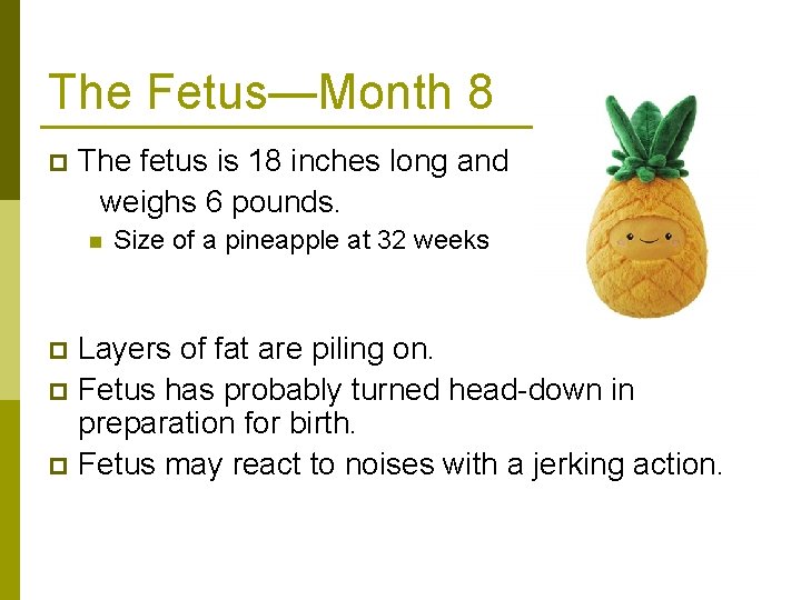 The Fetus—Month 8 The fetus is 18 inches long and weighs 6 pounds. p