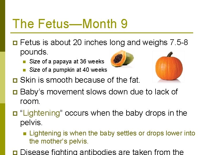 The Fetus—Month 9 p Fetus is about 20 inches long and weighs 7. 5