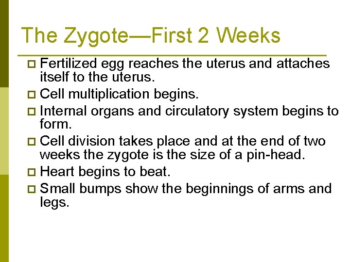 The Zygote—First 2 Weeks Fertilized egg reaches the uterus and attaches itself to the