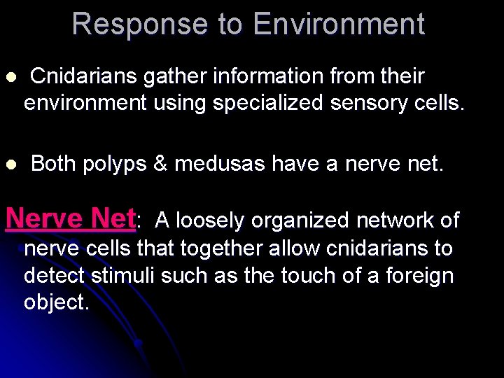 Response to Environment l l Cnidarians gather information from their environment using specialized sensory