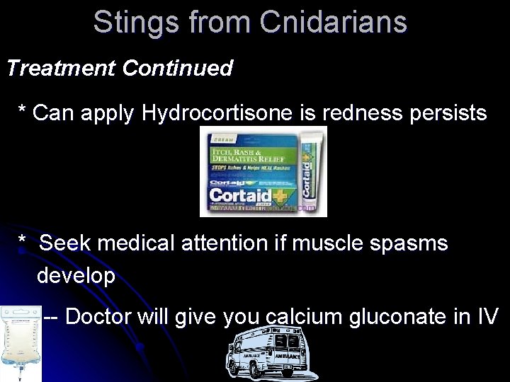 Stings from Cnidarians Treatment Continued * Can apply Hydrocortisone is redness persists * Seek